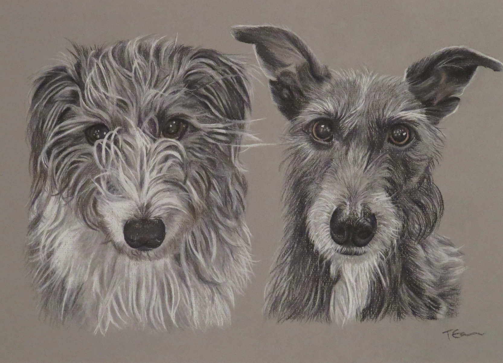 Commissions – Image 1